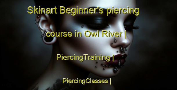 Skinart Beginner's piercing course in Owl River | PiercingTraining | PiercingClasses | SkinartTraining-Canada